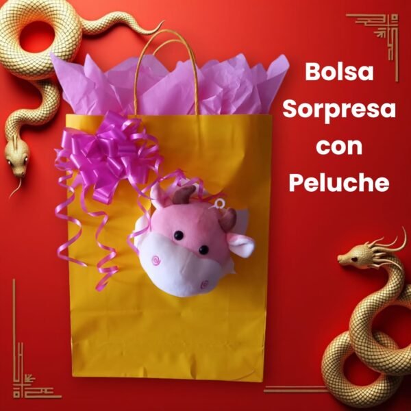 Bolsa Regalo Sorpresa con peluche