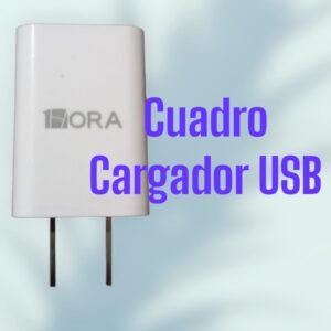 Cuadro Cargador USB 1HORA