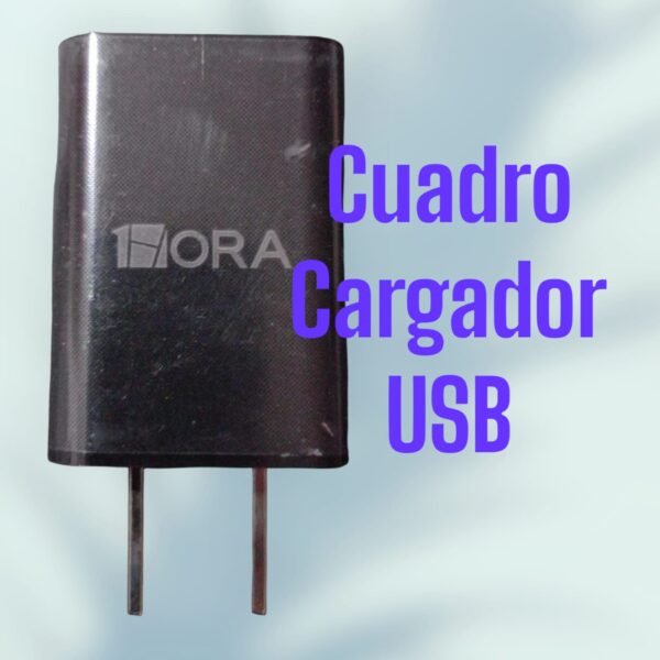 Cuadro Cargador USB 1HORA - Image 2